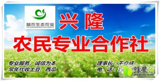 2014年吉林公主岭地雷瓜价格