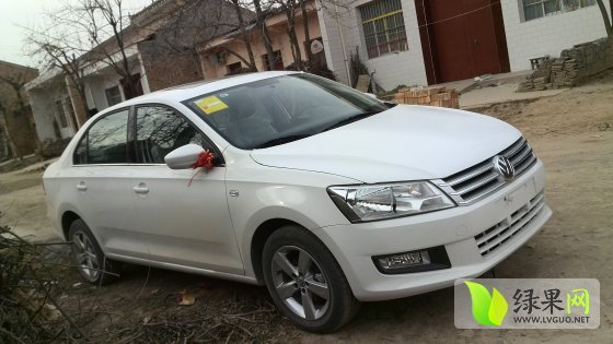 2014年陕西礼泉嘎啦价格