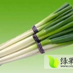 山东安丘铁杆大葱品质优良，加工精细