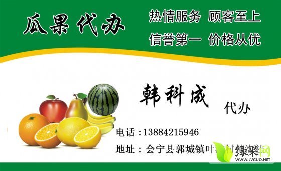 金城5号价格