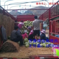 甘肃靖远高湾西瓜代办王行磊