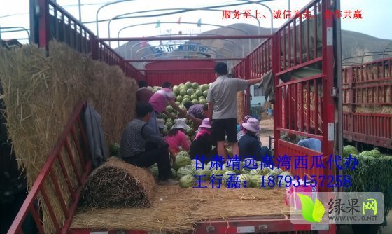 石头瓜价格