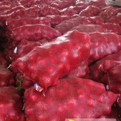 山东张店急售红皮洋葱50吨