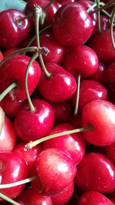 辽宁瓦房店代收美早大樱桃