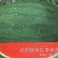 河北广宗龙卷风：北淤疃李书岭