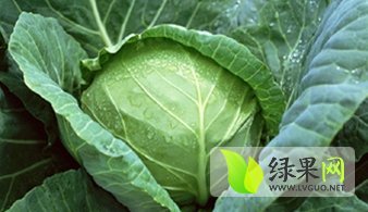 2014年河北蔚县北京21号价格