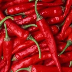 宜章辣椒聚焦市场,一六张建兵诚信合作