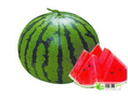 黑龙江双城地雷瓜西瓜香甜可口