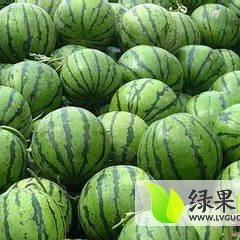 大庆市大同区祝三乡西瓜绿色无公害