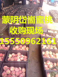2014年山东蒙阴燕红价格