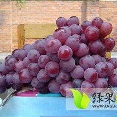 红提葡萄整齐均匀，果皮中厚，果肉硬脆