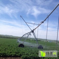 内蒙古多伦夏波蒂土豆名优产品