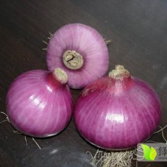 张掖市黄皮洋葱个头大，颜色好，质量高