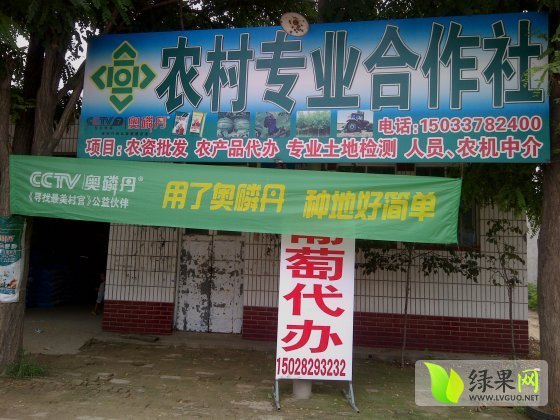 巨峰葡萄价格