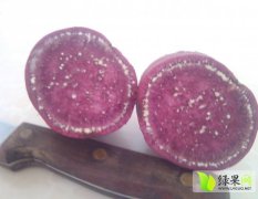湖南江永紫薯红薯品质优良