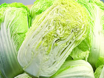 锦州市文格万亩绿色健康营养蔬菜出售代办