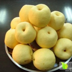 万荣酥梨皮薄汁多，肉质嫩滑，脆嫩可口