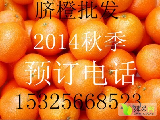 2014年湖南石门纽荷尔脐橙价格