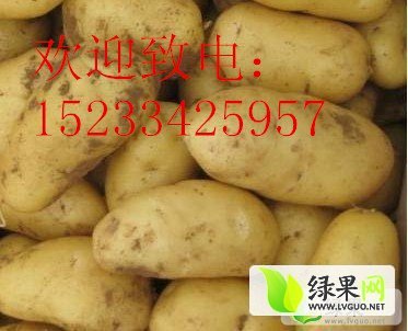 2014年内蒙古喀喇沁旗荷兰十五价格