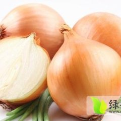 出口黄皮洋葱，个大饱满，颜色光亮