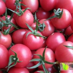 我处万亩蔬菜大棚基地，品种齐全