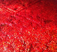 大量出售腌制红辣椒，年产500吨左右