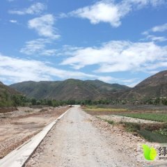 武山联系漆江英12月花(青农)韭菜