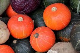 山西神池新明诚信合作社日本黑南瓜、金红冠南瓜