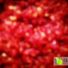 我处种植了大量辣椒，品种齐全，欢迎前来选购