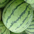 西瓜品种齐全、口感甜爽、耐储存耐运输