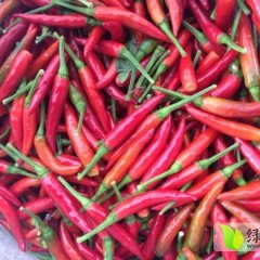 大量供应朝天椒，天宇线椒等各种辣椒