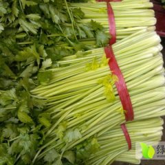 江苏铜山皇妃芹菜菜叶茎嫩黄、梗直、鲜嫩、清