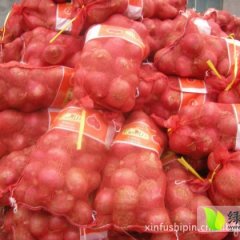 酒泉洋葱已经大量上市，欢迎前来采购