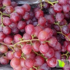 陕西红提葡萄价格红提葡萄批发