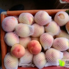 2014大荔蜜桃俏销大江南北