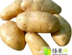 沽源县土豆品相好，质量优，圆润光滑，大小均匀