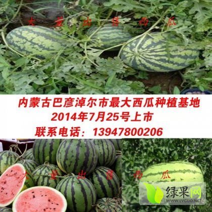 2014年内蒙古乌拉特中旗西农价格