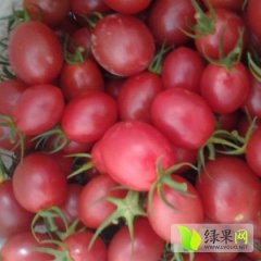 东方千禧圣女果口感好，清甜可口，耐运输