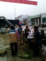 山东邹城地瓜种植面积几百万亩，质优价廉