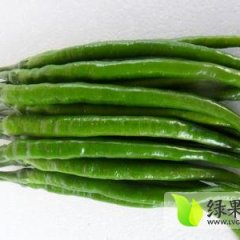 亭湖辣椒早买早赚，欢迎前来订购