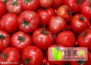 2014年山东莘县硬粉价格