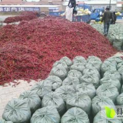 开鲁辣椒供应量大，货源充足，欢迎实地考察选购