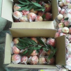 富岛桃王颜色全红，个头大，货源充足