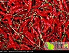 忻州辣椒大量上市，品种齐全，辣椒个大，外形饱满