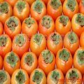 大荔柿子质量上乘,，甜度高，无涩感，耐运输