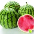 内蒙古奈曼旗京欣西瓜个大皮薄，爽甜可口