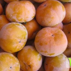恭城柿子糖度高，皮色亮丽，品质优良