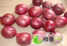 通许入库洋葱大量出库，价格每日更新