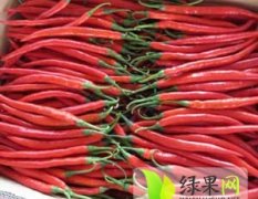 忻府辣椒种植面积20000余亩，纯绿色天然食品