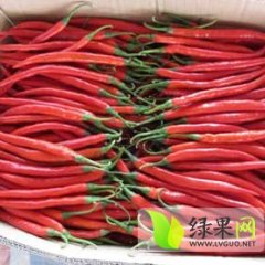 忻府辣椒种植面积20000余亩，纯绿色天然食品
